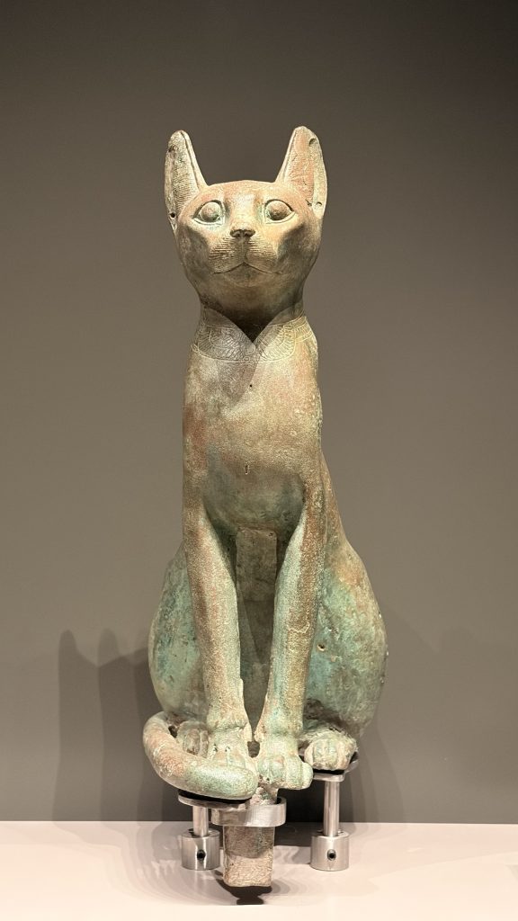 Katzen in sämtlichen Formen